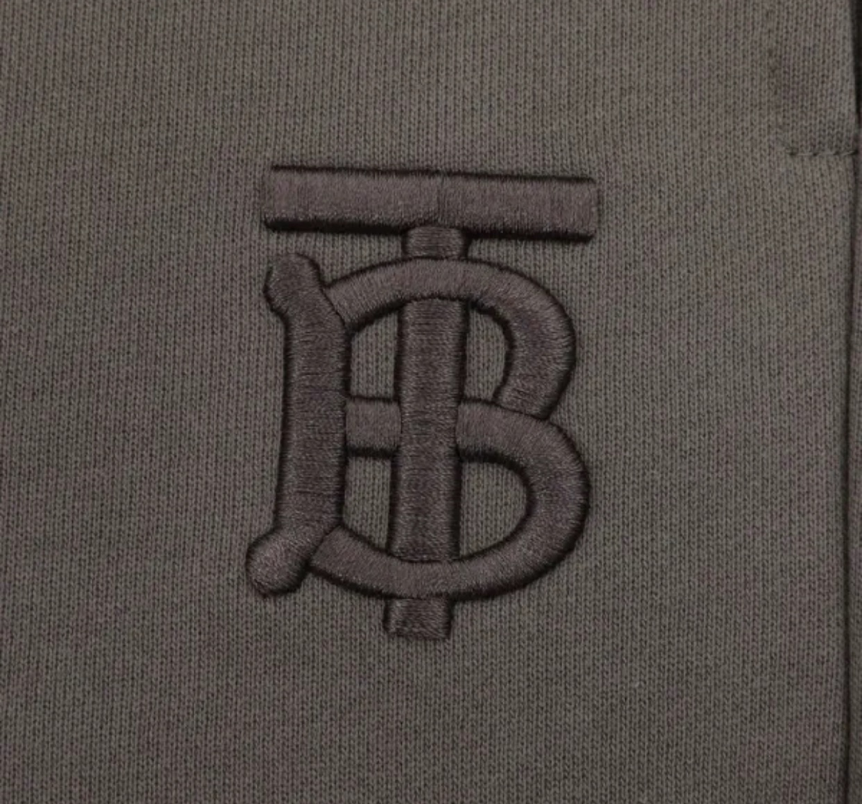 Pantalon Corto Gris – Burberry - Imagen 3